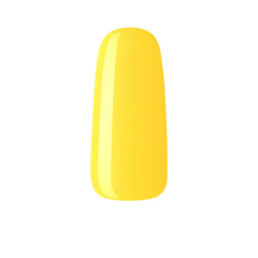NU95 Sunflower