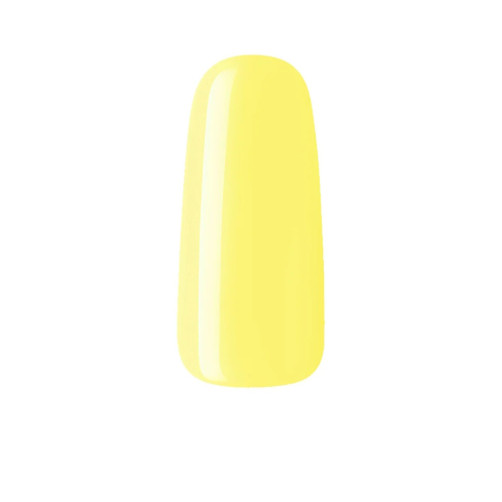 NU49 Mardi Gras